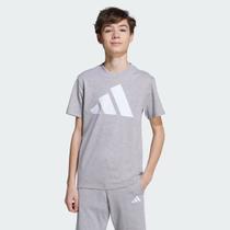 Camiseta Adidas Big Logo Basic Juvenil Cinza