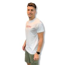 Camiseta aeropostale manga curta masculina ref: aer8790146
