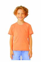 Camiseta Básica Infantil Menino Flamê Em Decote V