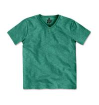 Camiseta Básica Infantil Menino Flamê Em Decote V