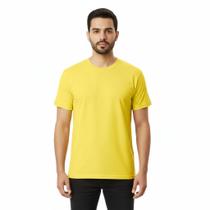 Camiseta Básica Lisa 100 Algodão