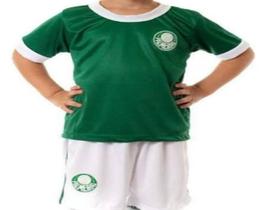 Camiseta + Bermuda+ Meião Palmeiras Masculino Conjunto Kit Artilheiro Menino