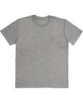 Camiseta cinza básica Camiseta cinza básica