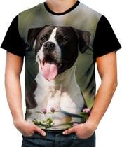 Camiseta Colorida Olhar Canino Cão Cachorro Doguíneo 7 Camiseta Colorida Olhar Canino Cão Cachorro Doguíneo 7