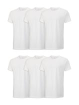 Camiseta Fruit of the Loom Stay Tucked - Modelagem Clássica