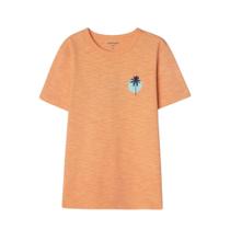 Camiseta Hering Infantil Menino Estampada Flamê