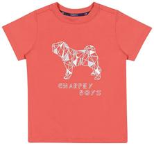 Camiseta Infantil Básica Charpey Meia Malha Cachorro Pet Dog Estampada Menino Casual