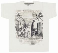 Camiseta infantil em malha flamê nº 4 ao 10 Molekada
