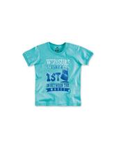 Camiseta Infantil Menino Hering Kids 5c1rwnd10