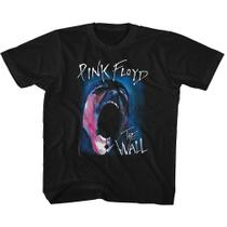 Camiseta Juvenil Pink Floyd Screamface