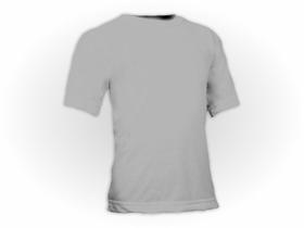 Camiseta Lisa Colorida Manga Curta Juvenil Pol. Prata