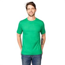 Camiseta Masculina Algodão 30.1 Básica Camisa Lisa