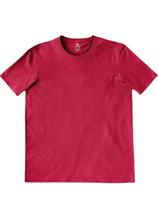 Camiseta Masculina Hering 201