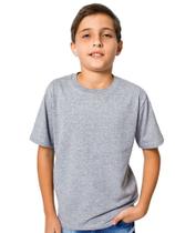 Camiseta Masculina Juvenil Lisa Básica Cinza - Pthirillo