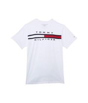 Camiseta masculina Tommy Hilfiger, manga curta, bandeira, gola redonda, 6