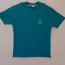 Camiseta Nicoboco Verde Estampada Camiseta Nicoboco Verde Estampada