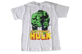 Camiseta O Incrível Hulk Blusa Adulto Unissex Super Herói Fl4178 BM