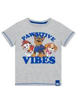 Camiseta Paw Patrol Boys Summer Clothes cinza tamanho 4 Camiseta Paw Patrol Boys Summer Clothes cinza tamanho 4
