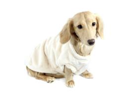 Camiseta Pelúcia para Cachorro e Gato Pet