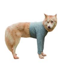 Camiseta Protetora Pós Cirúrgica Com Proteção Solar Para Cachorro Membros Anteriores Pernas dianteiras - Dry Fit Proteção UV 50+