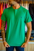 Camiseta Reserva Masculina Careca Verde Pica Pau Azul
