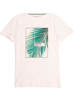 Camiseta Sergio K Masculina Panetone Forest Off White