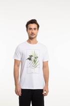 Camiseta Tropicaos