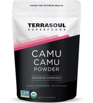 Camu Camu em Pó Orgânico Terrasoul Superfoods - 100g