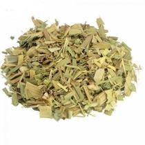 Cana de Brejo 200 gramas folhas para Chá