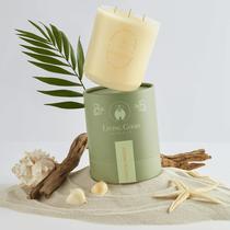 Candle Living Good Candle Co. Coastal Breeze Yuzu e sal marinho Candle Living Good Candle Co. Coastal Breeze Yuzu e sal marinho
