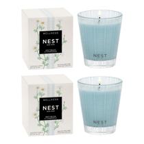 Candle NEST New York Driftwood & Chamomile, 240 ml, pacote com 2