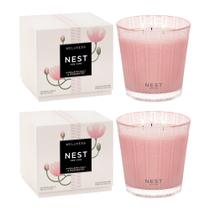 Candle NEST New York Himalayan Salt & Rosewater, 625 ml, pacote com 2
