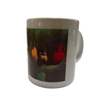 Caneca Personalizada - Aves Diversas Caneca Personalizada - Aves Diversas