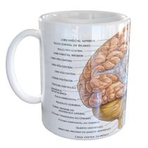 Caneca Porcelana Medicina Cérebro
