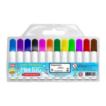 Caneta hidrográfica 12 cores Mini Big Ponta Grossa - Goller