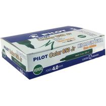 Caneta Hidrografica Color 850L Junior Verde CX.C/12