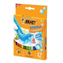 Caneta Hidrografica Colorir Evolution 12 Cores Bic
