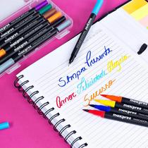 Caneta Hidrografica Duo Art - Ponta Dupla - Brush e Fine Liner - Estojo com 12 cores - MAXPRINT