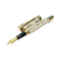 Caneta-tinteiro De Metal De Luxo Com Tampa Ergonômica De Torção E Ponta Média, Conversor Para Uso Em