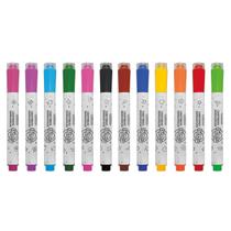 Canetinhas Hidrográficas Stamp 12 cores