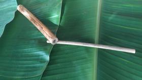 Canudinho de bambu Canudinho de bambu