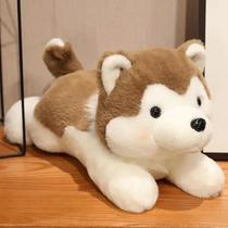 Cão Fofo Filhote De Cachorro Husky Brinquedo De Pelúcia 30/40/50cm Boneca Animal De Pelúcia