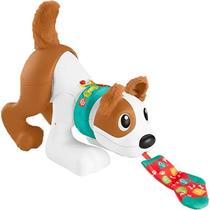 Cãozinho Interativo Fisher-Price: Brinquedo Didático Aprendizado