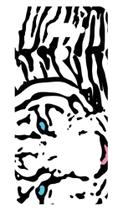 Capa Adesivo Skin047 Verso Para LG K12 Max LMX520bmw