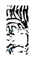 Capa Adesivo Skin047 Verso Para Sony Xperia Xa Capa Adesivo Skin047 Verso Para Sony Xperia Xa