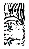Capa Adesivo Skin047 Verso Para Zenfone Max Pro M2 Zb630kl