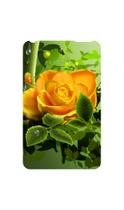 Capa Adesivo Skin369 Verso Para Apple iPod Classic (2008)