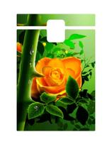 Capa Adesivo Skin369 Verso Para Blackberry Passport 2014 Capa Adesivo Skin369 Verso Para Blackberry Passport 2014