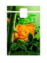 Capa Adesivo Skin369 Verso Para Blackberry Passport 2014 Capa Adesivo Skin369 Verso Para Blackberry Passport 2014