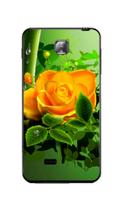 Capa Adesivo Skin369 Verso Para LG Optimus F5 (P875)